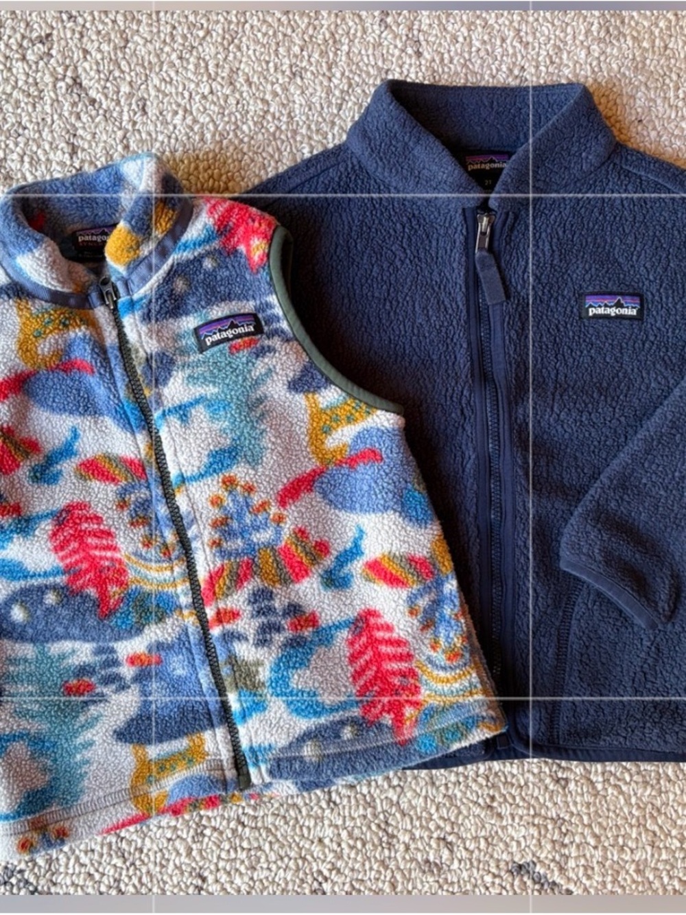 Patagonia Kids fleece Jacket and Fleece Vest